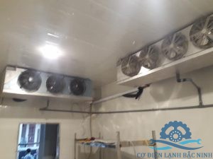 thợ sửa chữa kho lạnh bắt bệnh chuẩn