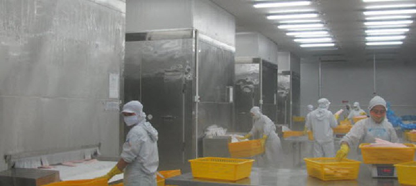 Công dụng của việc lắp đặt kho lạnh hải sản và những điều cần biết