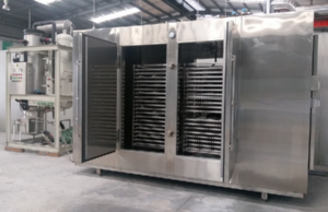 Bảo quản mực ống trong kho lạnh