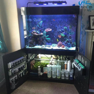 Những điều cần biết về Chiller bể cá trước khi lắp đặt