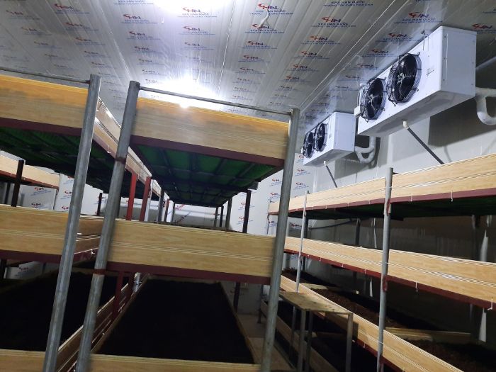 Giá thiết kế và lắp đặt kho lạnh của Cơ Điện Lạnh Bắc Ninh