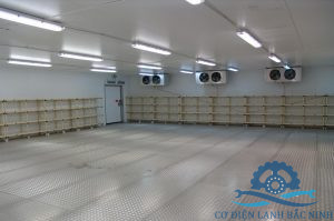 Tìm hiểu cách sử dụng kho lạnh tiết kiệm điện năng